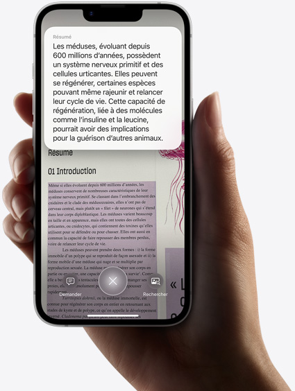 Une main tient un iPhone seize-e qui affiche les résultats d’une recherche effectuée avec l’intelligence visuelle.
