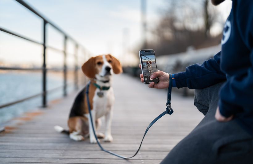 iPhonen laadukas kamera viimeistelee omistajille laaditut raportointikortit lemmikeistä.