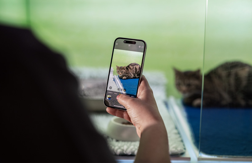 Hoitajat lähettävät iPhonella säännöllisiä kuvapäivityksiä lemmikeistä mielenrauhan lisäämiseksi.