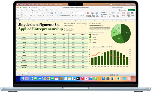 Microsoft Excel app shown on a MacBook Air